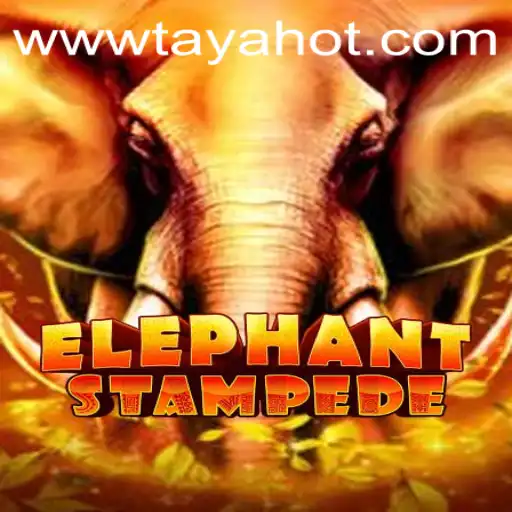 Understanding the Thrill of ElephantStampede Featuring TAYAHOT