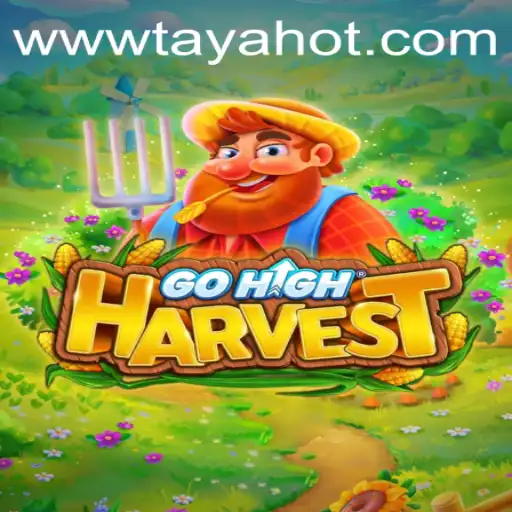 GoHighHarvest: A New Gaming Sensation with TAYAHOT Elements